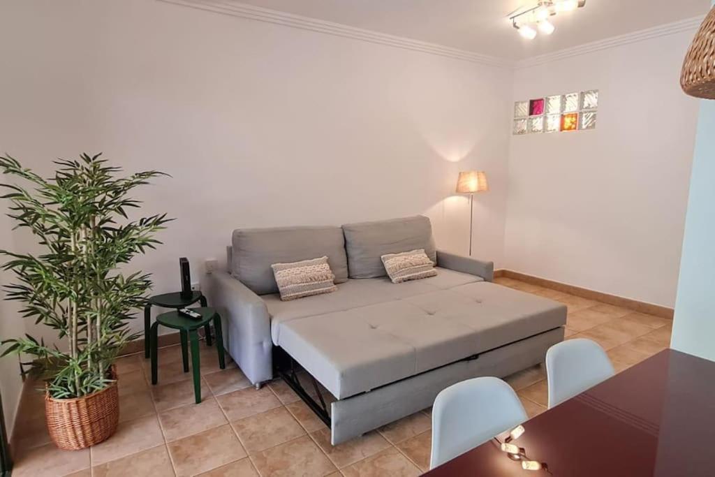 Jardin Del Teide Apartment Puerto de la Cruz  Exterior photo